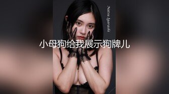 麻豆傳媒 MDSR0002-2 性工作者 EP2 AV女優的真情告白 夏晴子