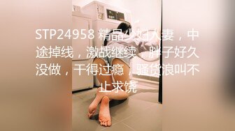 STP24958 精品少妇人妻，中途掉线，激战继续，胖子好久没做，干得过瘾，骚货浪叫不止求饶