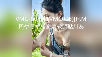 VMC-003(41VMC003)[H.M.P]やりすぎ家庭教師鮎川あみ