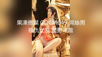 国产麻豆AV MDX MDX0241-1 岳母强上空虚女婿 苏语棠