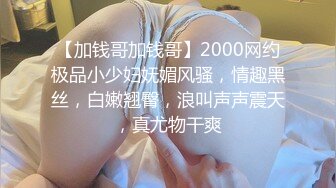 酒店约战比女人还女人的国产极品TS