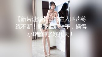 密友.第三十三集.精东影业