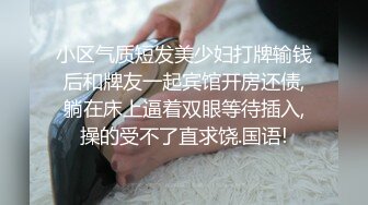 小骚货叫着男友名字，然后用力往下一坐，啊～