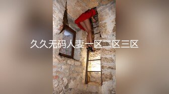 久久无码人妻一区二区三区