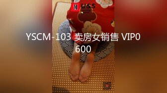 YSCM-103 卖房女销售 VIP0600