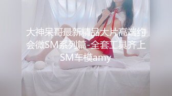 大神呆哥最新精品大片高端约会微SM系列篇-全套工具齐上SM车模amy