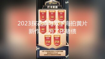 最新未流出破解版，新晋爆火舞团【艺舞吧】高颜值极品身材纹身女神【乐乐】各种情趣透视露奶露逼热舞挑逗 (6)