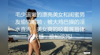 国产CD系列骚货小吟吟蕾丝网袜高跟洗手间吸盘假屌自插 窗前飞机高潮射出