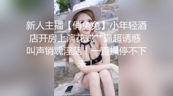 七彩(咸湿)西游记 (1)豬八戒招親