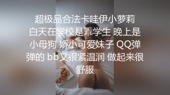 户外露出调教01小母狗，低温蜡首次尝试