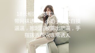 隔着渔网丝袜爆插大奶女友的淫穴-双飞-单男-白浆