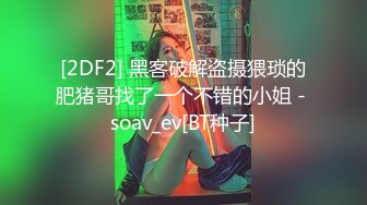 [2DF2] 黑客破解盗摄猥琐的肥猪哥找了一个不错的小姐 - soav_ev[BT种子]