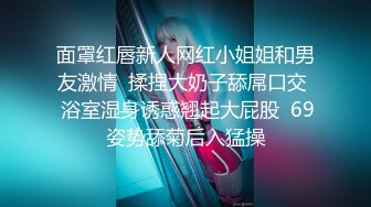 2022-7-17【豬肉佬尋歡】小黑巷找站街女，顏值不錯少婦，抓著大屌口硬開操，扶著肥臀後入