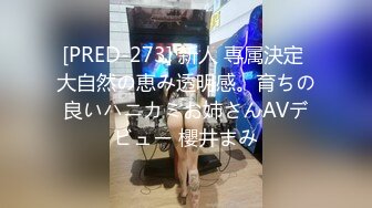 麻豆传媒 mpg-0111 玷污羞辱白虎jk少女-夏晴子_