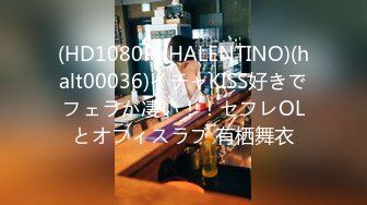 (HD1080P)(HALENTINO)(halt00036)イチャKISS好きでフェラが凄い！！セフレOLとオフィスラブ 有栖舞衣