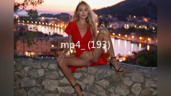 mp4_ (193)