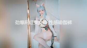 【JD064】嫦娥奔月.但愿人长久.千里共婵娟