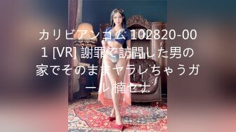 カリビアンコム 102820-001 [VR] 謝罪で訪問した男の家でそのままヤラレちゃうガール 楠セナ