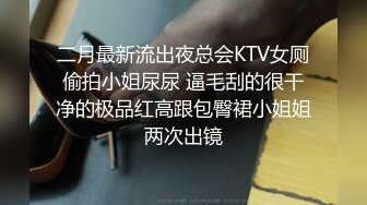 二月最新流出夜总会KTV女厕偷拍小姐尿尿 逼毛刮的很干净的极品红高跟包臀裙小姐姐两次出镜